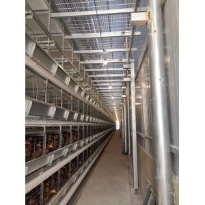 1950×2300×2000 Automatic Layer Battery Poultry Chicken Cage Chicken Layer