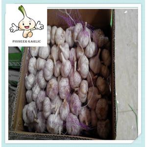 Buy cheap new crop chinese white garlic fresh natural pure white garlic from wholesalers