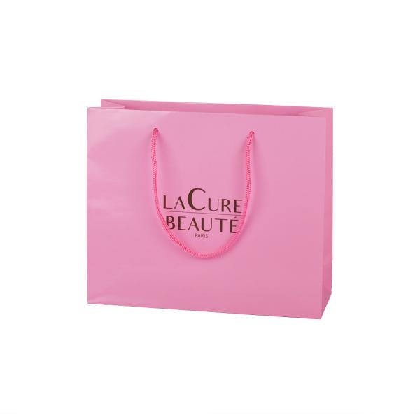Quality Glossy Lamination Coated Paper Bags Packaging Cosmetic With Handle for sale