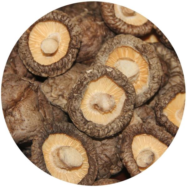 Buy cheap Brown Lions Mane Mushroom Extract Dried Shiitake Mushroom 1kg/bag from wholesalers