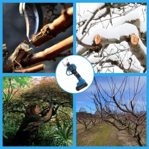 Cordless Electric Battery Operated Pruning Secateurs Plastic Material Navy Blue