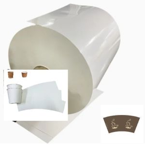 Buy cheap Eco-friendly Compostable PLA Coated Paper Roll Printing Roll Raw Material Paper Customized shape product