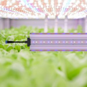 Buy cheap 120cm Weed LED Grow Light Bar Full Spectrum 60W Aluminum PC Material from wholesalers