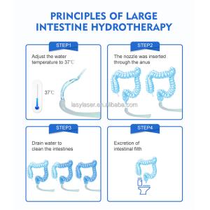 220v Colon Hydrotherapy Machine Skin Rejuvenation 2L/Min Colonix Machine
