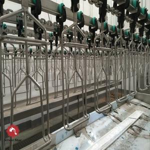 Buy cheap Halal Poultry Automatic Chicken Slaughtering Machine 300BPH To 10000BPH from wholesalers