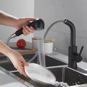 Black Pull Out Sanitary Ware Faucet