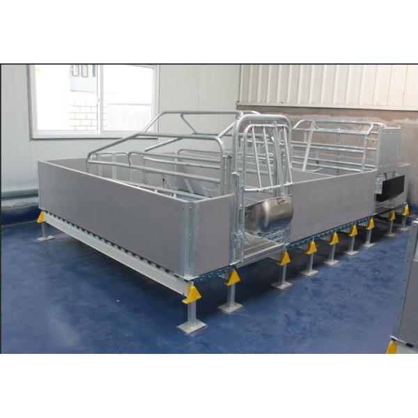 Quality Factory Direct Supply Good Quality Sow Farrowing Crate for Sale Pig Farrowing Pen for sale