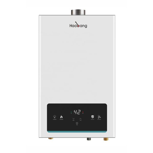 Buy cheap Wall-mounted Flue Gas Water Heater with Touch Panel Control for Hotel and Garage Use from wholesalers