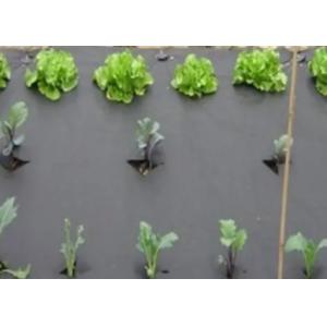 Agricultural Nonwoven Fabric Moisturising Breathable For Weed Control