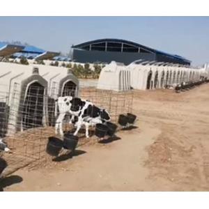 Galvanized Mesh Length 220cm Plastic Calf Shelters Easily Clean