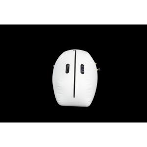 Multifunctional Hyperbaric Oxygen Chamber Machine Intelligent All In One