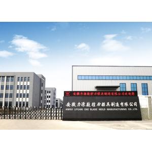 Anhui Liyuan CNC Blade Mold Manufacturing Co., Ltd.