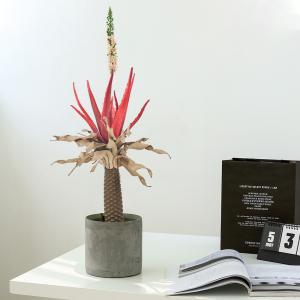 Buy cheap SGS Plastic Artificial Foliage Tree Architectural Landscaping For Dining Room from wholesalers