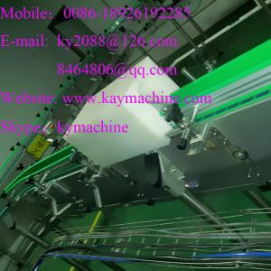 Buy cheap BOTTLE TURNING AND CONVEYING DEVICE IN CONTINUOUS CYCLE China manufacturer  factory producer from wholesalers