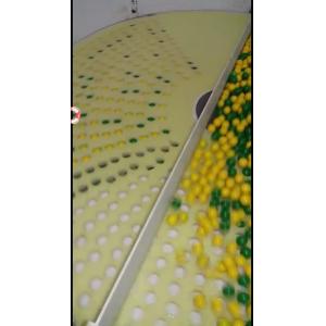 Buy cheap Softgel Capsule Inspection Counting And Packing Machine 1 Year Warranty from wholesalers