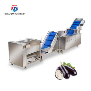 Buy cheap Multifunctional Vegetable And Fruit Processing Line Hair Roller Bubble Cleaning Production Line from wholesalers