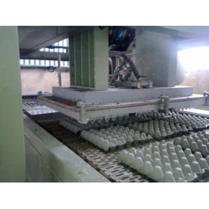Full Automatic Egg Box Machine , Egg Crate Manufacturing Machine 115kw