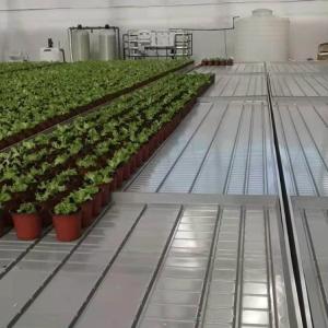 4ft 5ft customized width Movable seedbed growing bench rolling table with