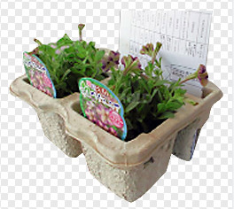 Buy cheap High Capacity Egg Carton Making Machine / Automatic Egg Tray Machinery from wholesalers