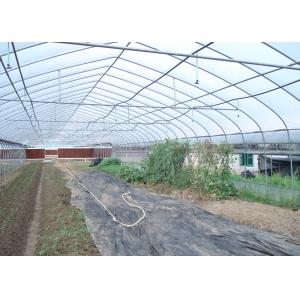 10m Tunnel Width Multi Span Greenhouse Steel Pipe Greenhouse For Hydroponic