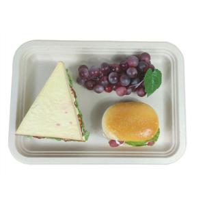 Buy cheap Rectangle Biodegradable Food Trays product
