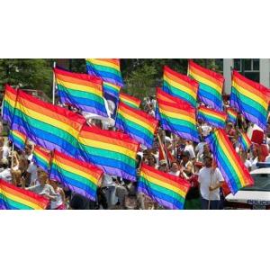 Buy cheap 3X5 RAINBOW Double Sided FT POLYESTER FLAG GAY PRIDE from wholesalers