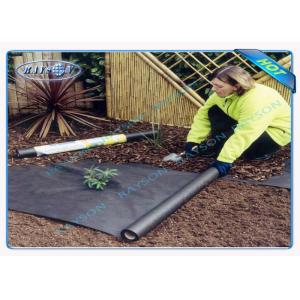Polypropylene Landscape Fabric Without UV - Resistance For Ground Control