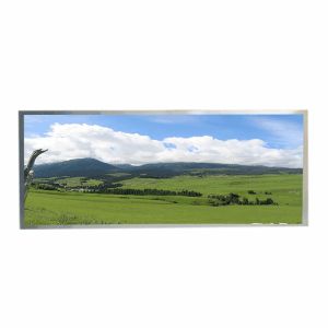 Buy cheap 12.3 HannStar Wide Temperature LCD High Brightness 1920x720 from wholesalers
