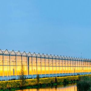 Buy cheap Portrait Landscape Greenhouse Solar System 3KN/M2 Snow Load from wholesalers