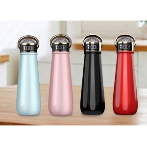 EW-DD3 Sports Drink Bottle LED Thermos Black Color 250*76mm Portable Size