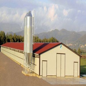 Buy cheap Prefabricated Steel Poultry House Q235 Q345B Galvanized Structure from wholesalers