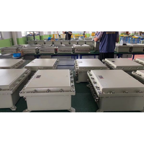 Waterproof Powder Coating Flameproof Distribution Board With IP66 WF2 And