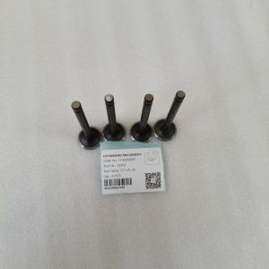 Buy cheap Hyunsang Excavator Parts Intake & Exhaust Valves For V2203 Engine from wholesalers