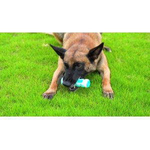 Buy cheap Factory Direct Sale With Rope Single Serrated Molar Stick Pet Dog Teeth Cleaning Dog Training Toy from wholesalers