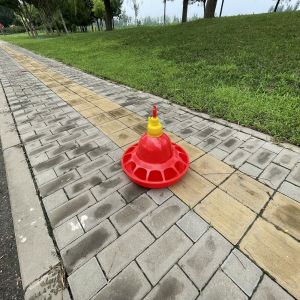 Buy cheap Automatic Small Medium plastic poultry drinker from wholesalers