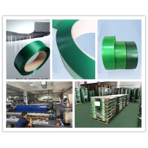 Buy cheap PET strapping equipment, PET belt extrusion line, PLC computer touch screen control, PET green strapping equipment from wholesalers