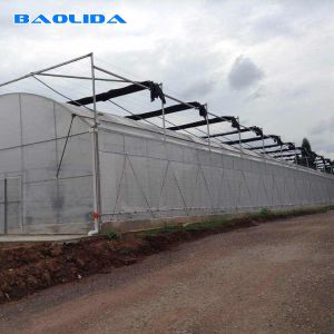 Buy cheap Side Ventilation Clear Multi Span Greenhouse With Outside Shading System from wholesalers