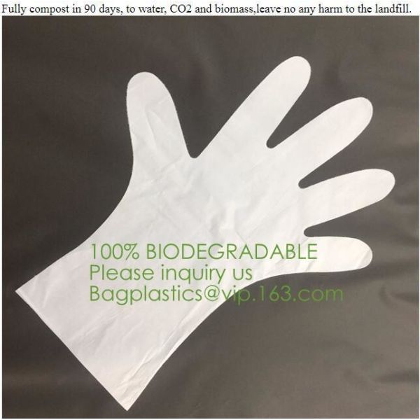 Quality Biodegradable and compostable PLA gloves,OEM cheap biodegradable kitchen disposable gloves with EN13432 BPI OK compost h for sale