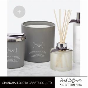 Small Ribbon Natural Reed Diffuser , Bathroom Scent Diffuser Frosted Bottle