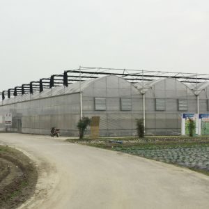 Buy cheap PE Film Tunnel Multi Span Greenhouse High Large Size Anti UV Multi Span Greenhouse from wholesalers