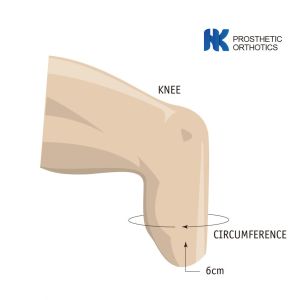 Cushion Suspension Proximal Seal Interface 53cm ALPS Liner