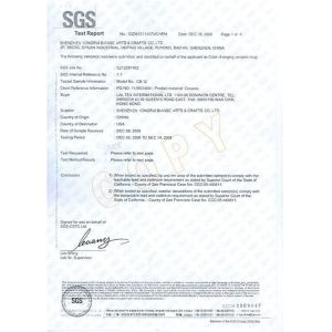 Shenzhen Yong Rui Bianse Arts & Crafts Co., Ltd Certifications