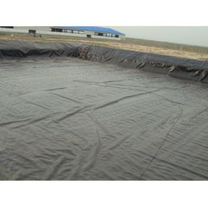 PVC Coated Black Waterproof Tarpaulin Tear Resistant Tarp