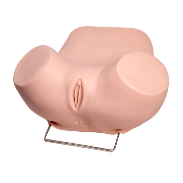 Buy cheap Viginal Examination Gynecologic Simulator With Normal Uterus from wholesalers