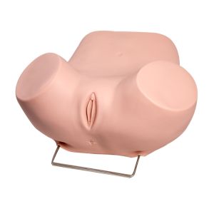 Buy cheap Viginal Examination Gynecologic Simulator With Normal Uterus from wholesalers