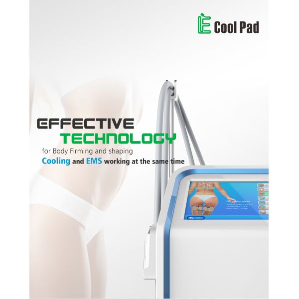 Quality Light Weight Portable EMS Physiotherapy Machine , Home Cryolipolysis Machine for sale