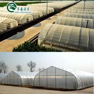 Small Garden Greenhouses With Double Layer And Automatic Control Box