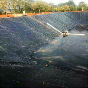 Buy cheap Directly Sold by Manufacturers Outdoor HDPE Smooth Geomembrane for Durable Fish Ponds from wholesalers
