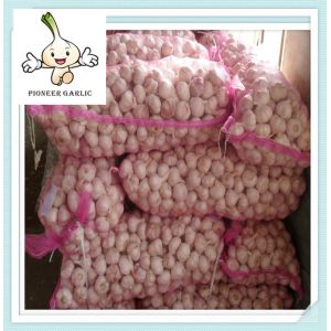Buy cheap HIGH QUALITY 5.0 CM SIZE FRESH GARLIC wholesale importer of chinese product