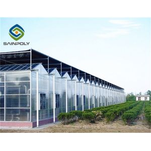 Buy cheap Commerical Arch Roof 8m 12m PC Sheet Greenhouse from wholesalers